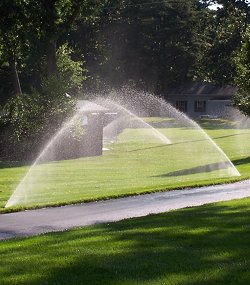 sprinklers